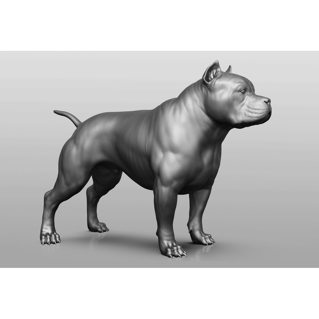 Dog Breed Collection 3D Model – Realistic Animal Pack, OBJ & ZTL - View 58