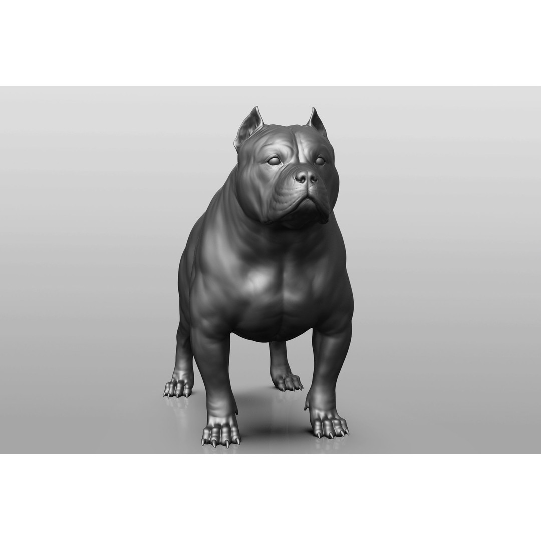 Dog Breed Collection 3D Model – Realistic Animal Pack, OBJ & ZTL - View 59