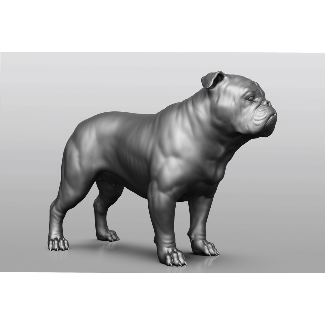 Dog Breed Collection 3D Model – Realistic Animal Pack, OBJ & ZTL - View 6