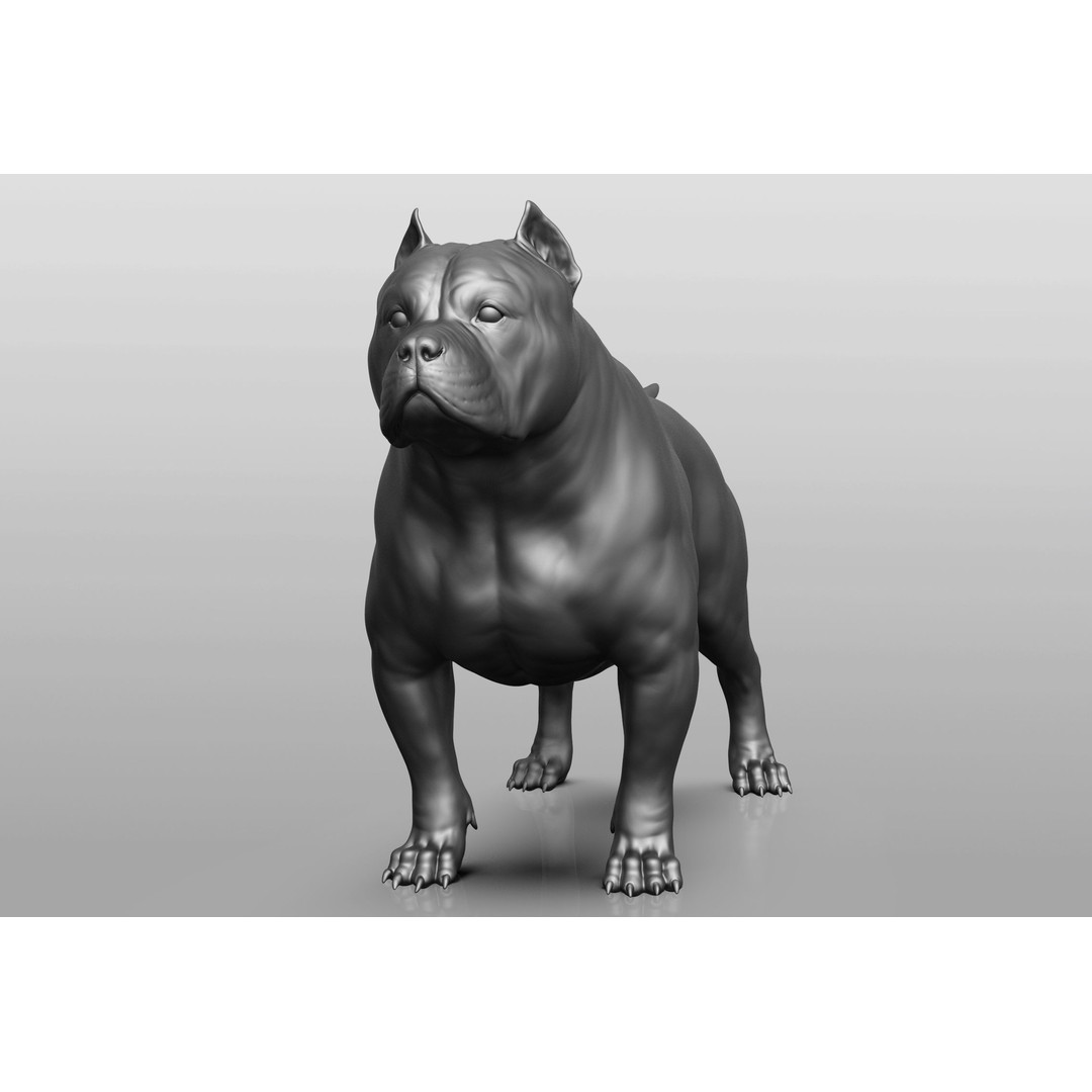 Dog Breed Collection 3D Model – Realistic Animal Pack, OBJ & ZTL - View 60