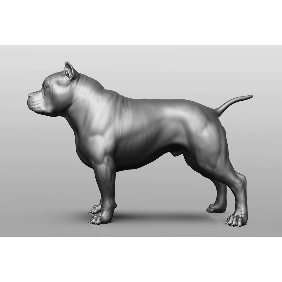 Dog Breed Collection 3D Model – Realistic Animal Pack, OBJ & ZTL - View 61