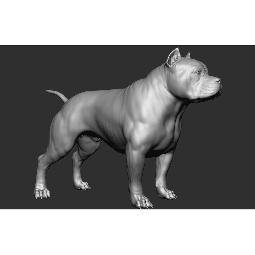 Dog Breed Collection 3D Model – Realistic Animal Pack, OBJ & ZTL - View 62