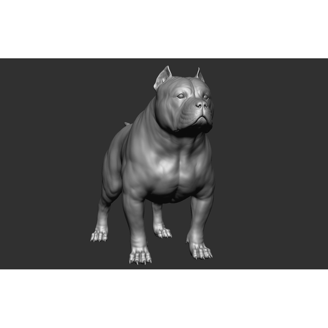 Dog Breed Collection 3D Model – Realistic Animal Pack, OBJ & ZTL - View 63