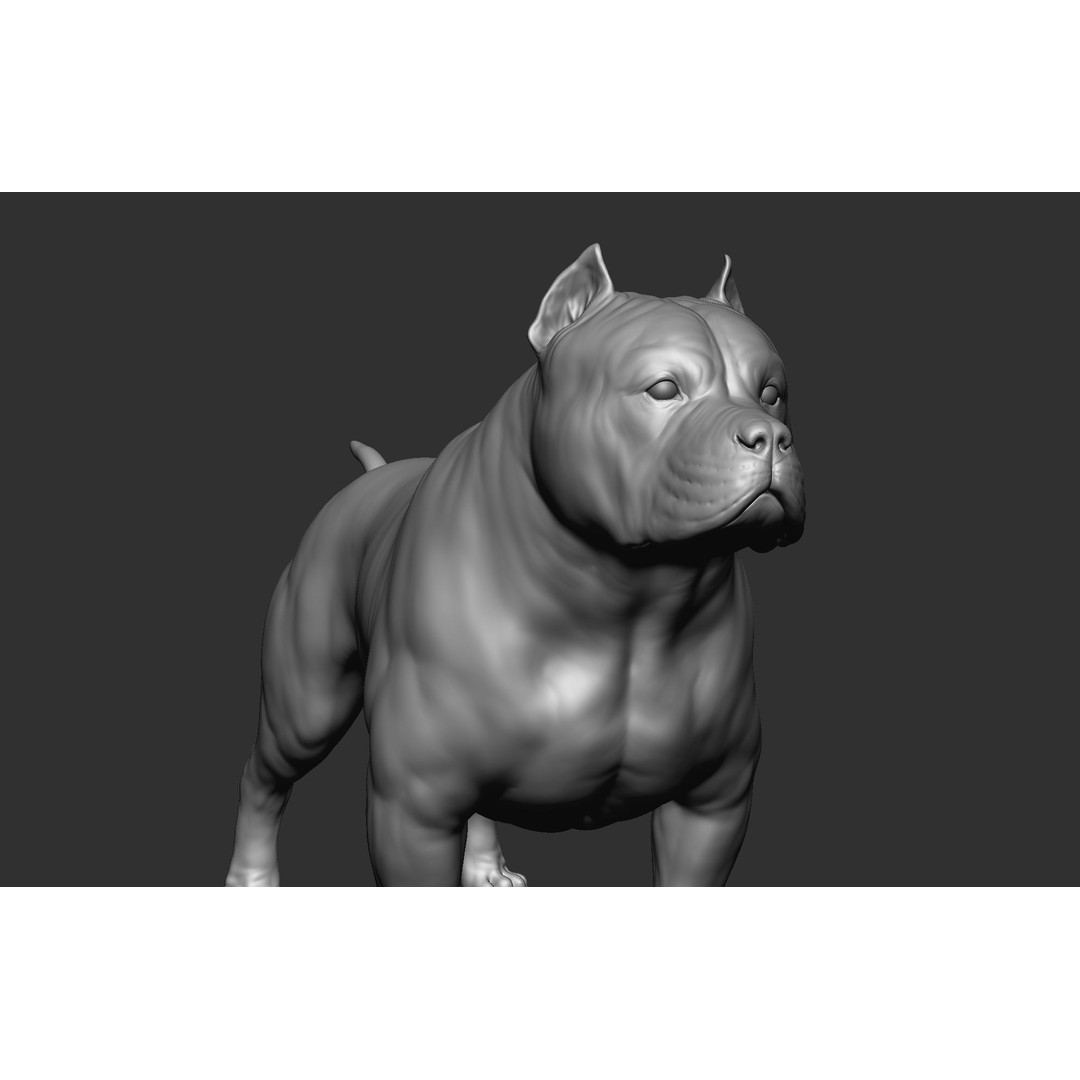 Dog Breed Collection 3D Model – Realistic Animal Pack, OBJ & ZTL - View 65