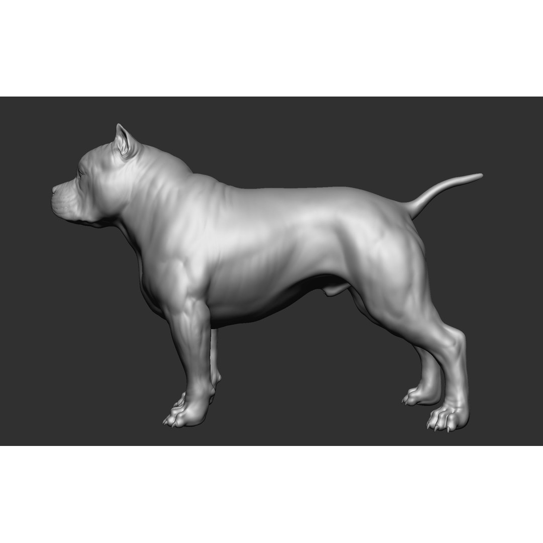 Dog Breed Collection 3D Model – Realistic Animal Pack, OBJ & ZTL - View 66