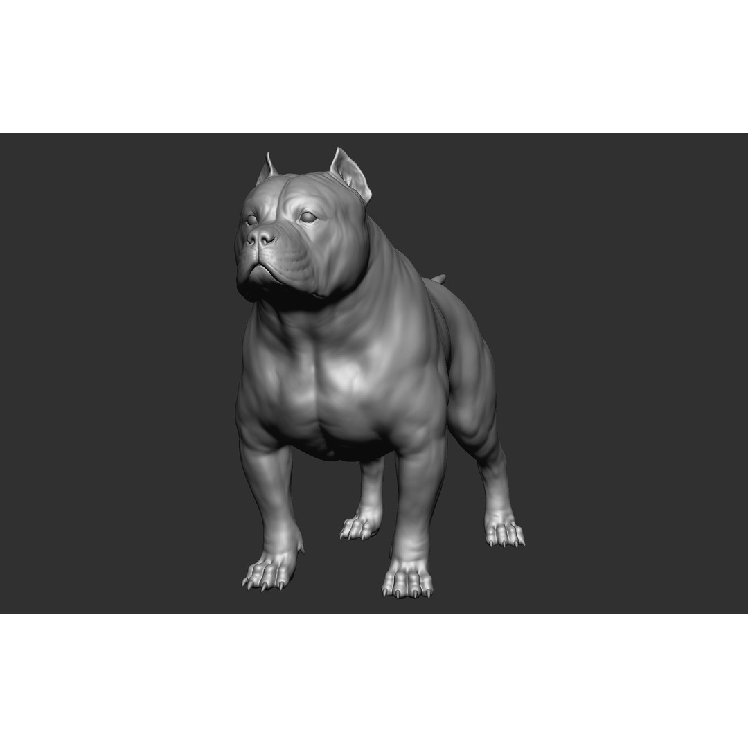 Dog Breed Collection 3D Model – Realistic Animal Pack, OBJ & ZTL - View 67