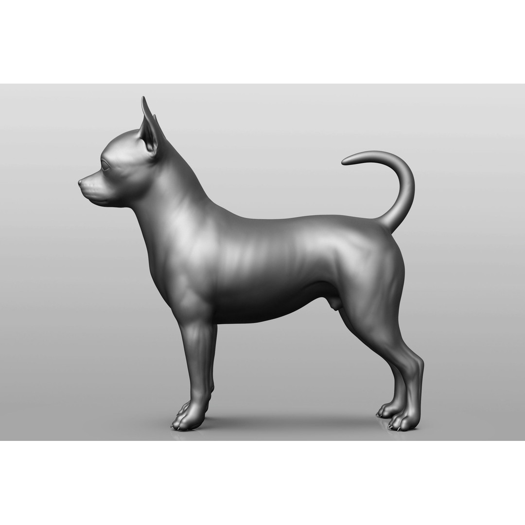 Dog Breed Collection 3D Model – Realistic Animal Pack, OBJ & ZTL - View 68