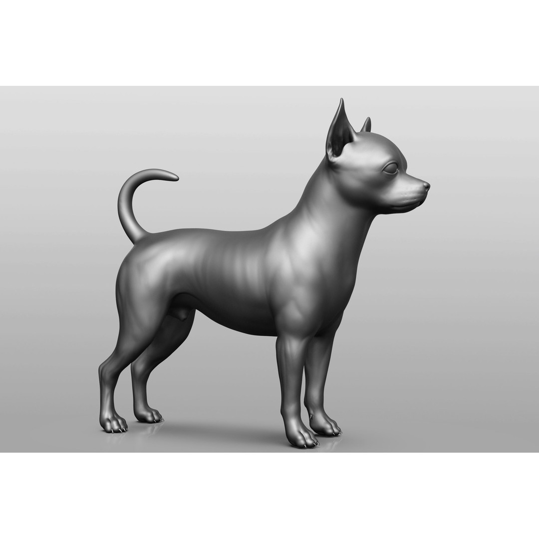 Dog Breed Collection 3D Model – Realistic Animal Pack, OBJ & ZTL - View 69