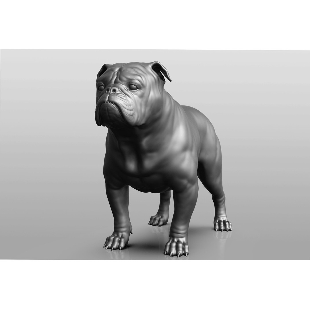 Dog Breed Collection 3D Model – Realistic Animal Pack, OBJ & ZTL - View 7