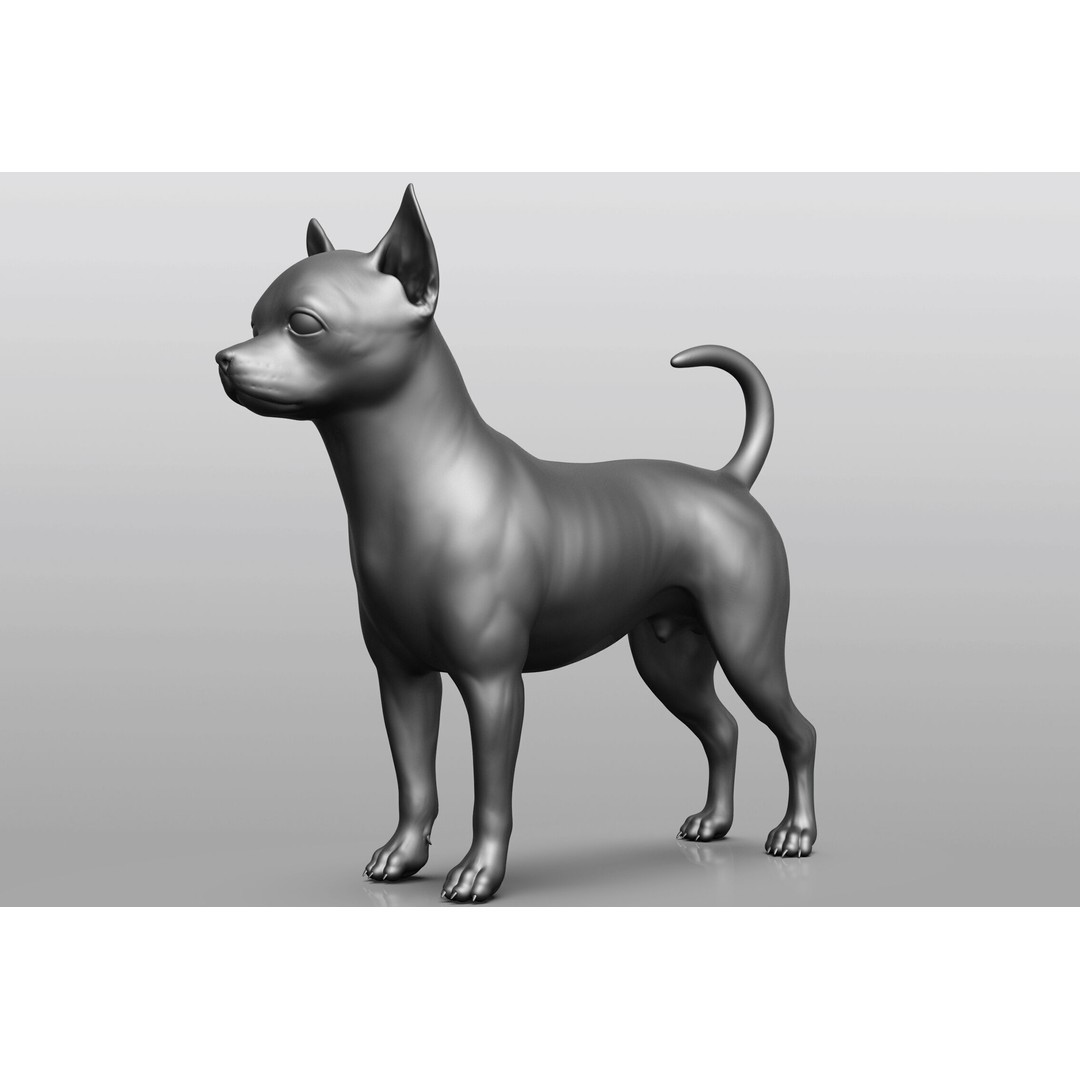 Dog Breed Collection 3D Model – Realistic Animal Pack, OBJ & ZTL - View 70