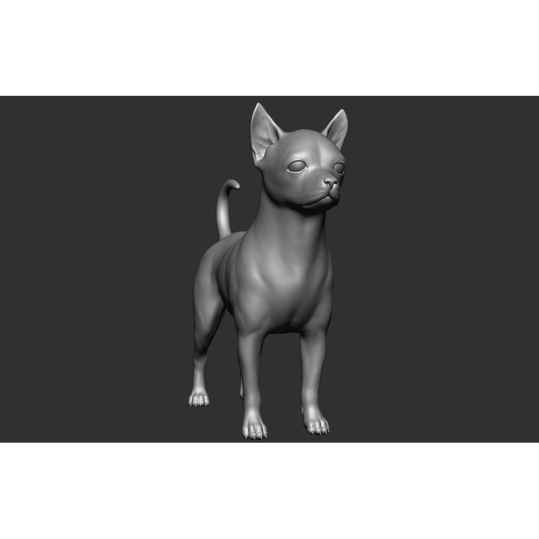 Dog Breed Collection 3D Model – Realistic Animal Pack, OBJ & ZTL - View 71
