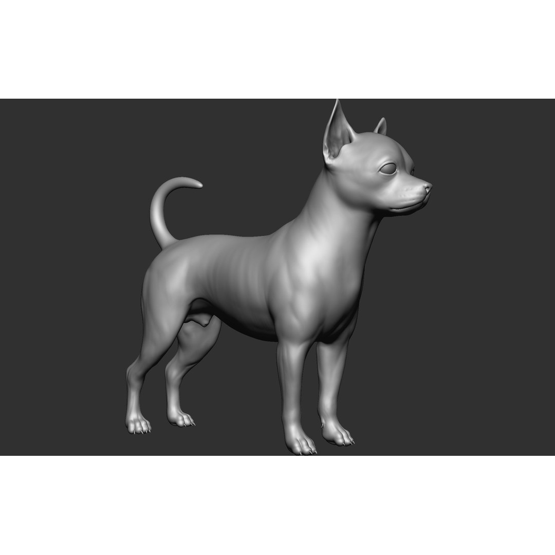 Dog Breed Collection 3D Model – Realistic Animal Pack, OBJ & ZTL - View 72