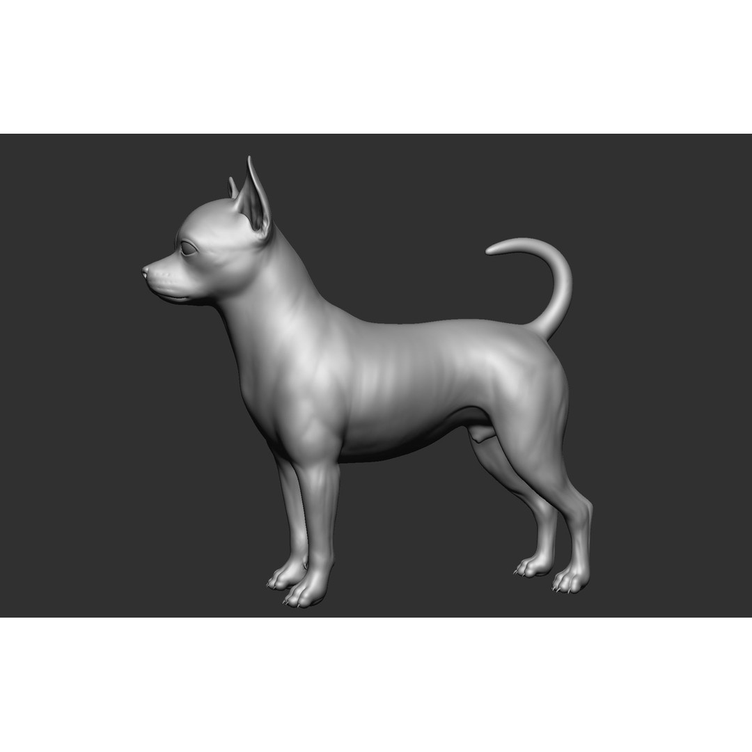 Dog Breed Collection 3D Model – Realistic Animal Pack, OBJ & ZTL - View 73