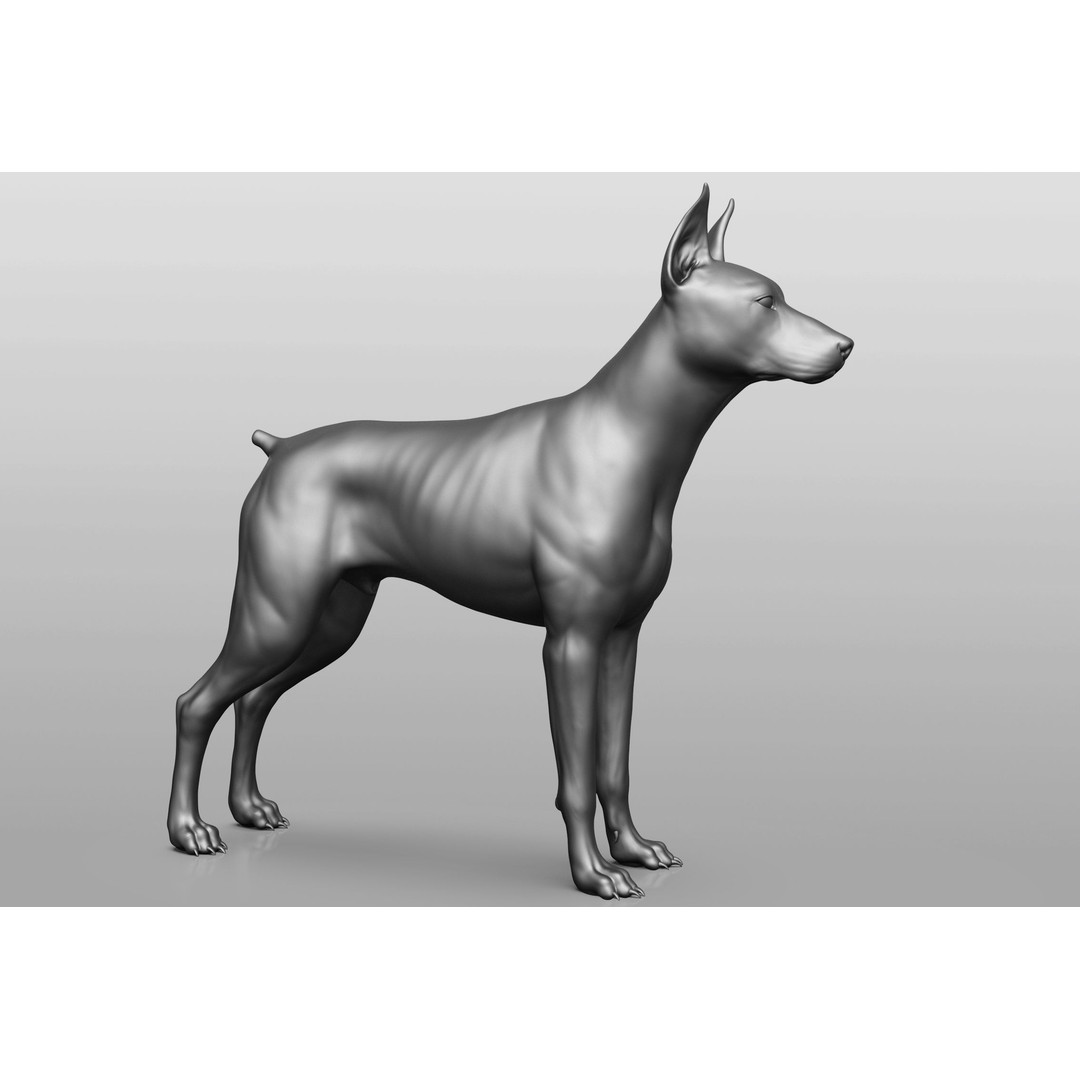 Dog Breed Collection 3D Model – Realistic Animal Pack, OBJ & ZTL - View 74