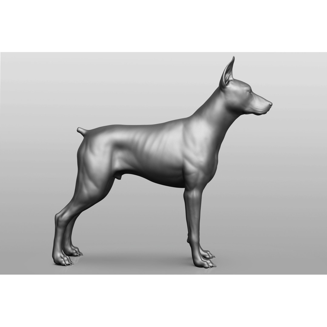 Dog Breed Collection 3D Model – Realistic Animal Pack, OBJ & ZTL - View 75