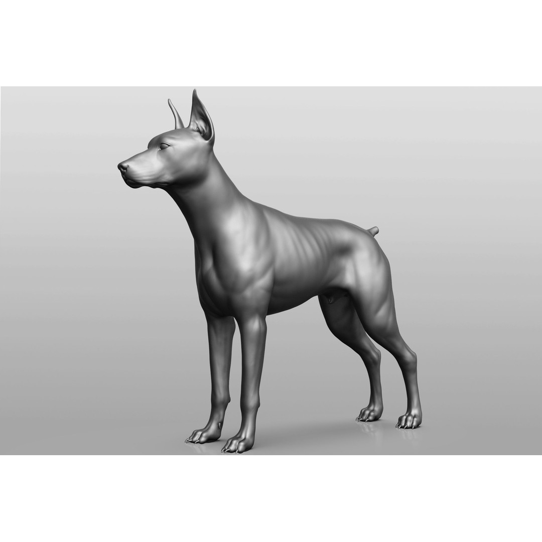 Dog Breed Collection 3D Model – Realistic Animal Pack, OBJ & ZTL - View 76