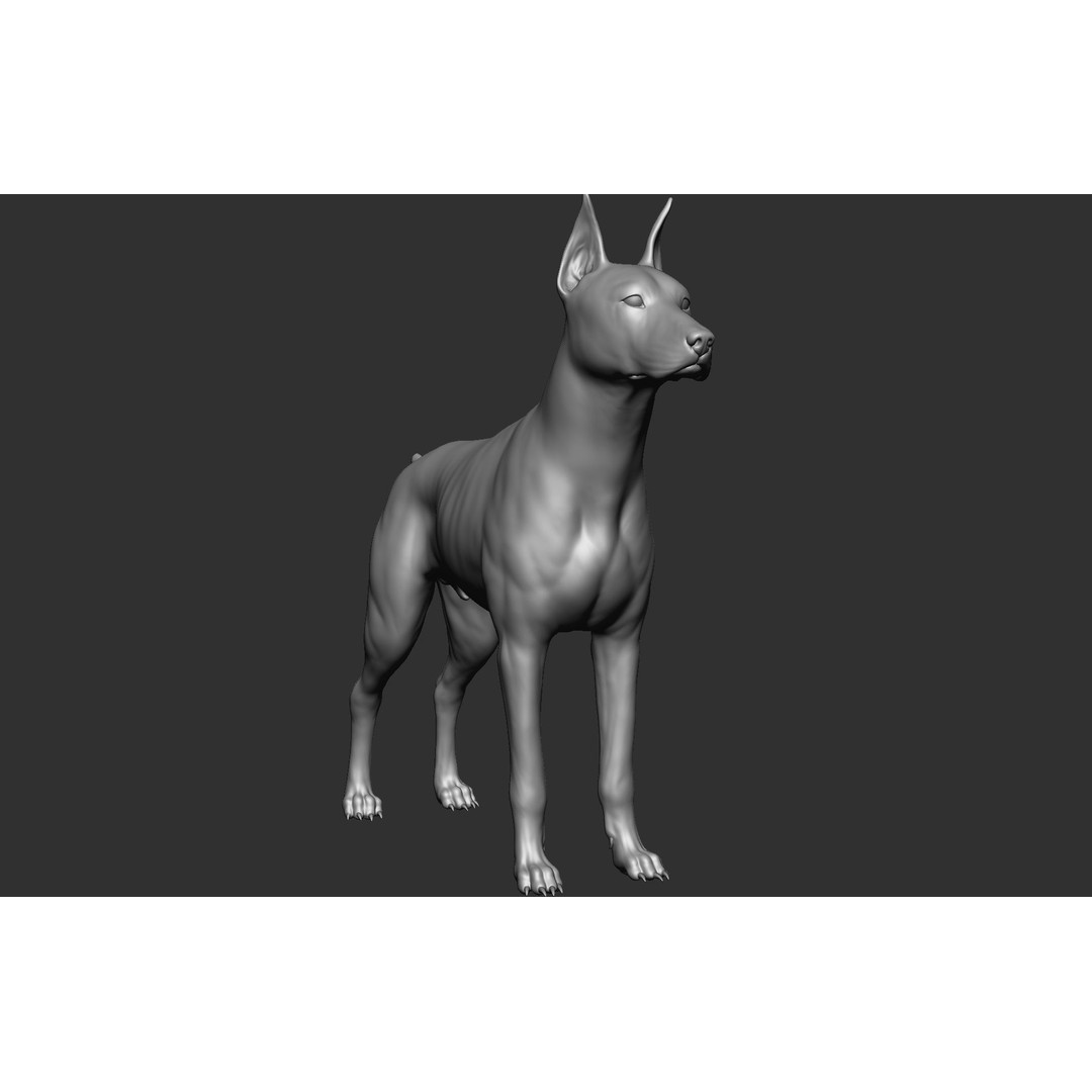 Dog Breed Collection 3D Model – Realistic Animal Pack, OBJ & ZTL - View 77