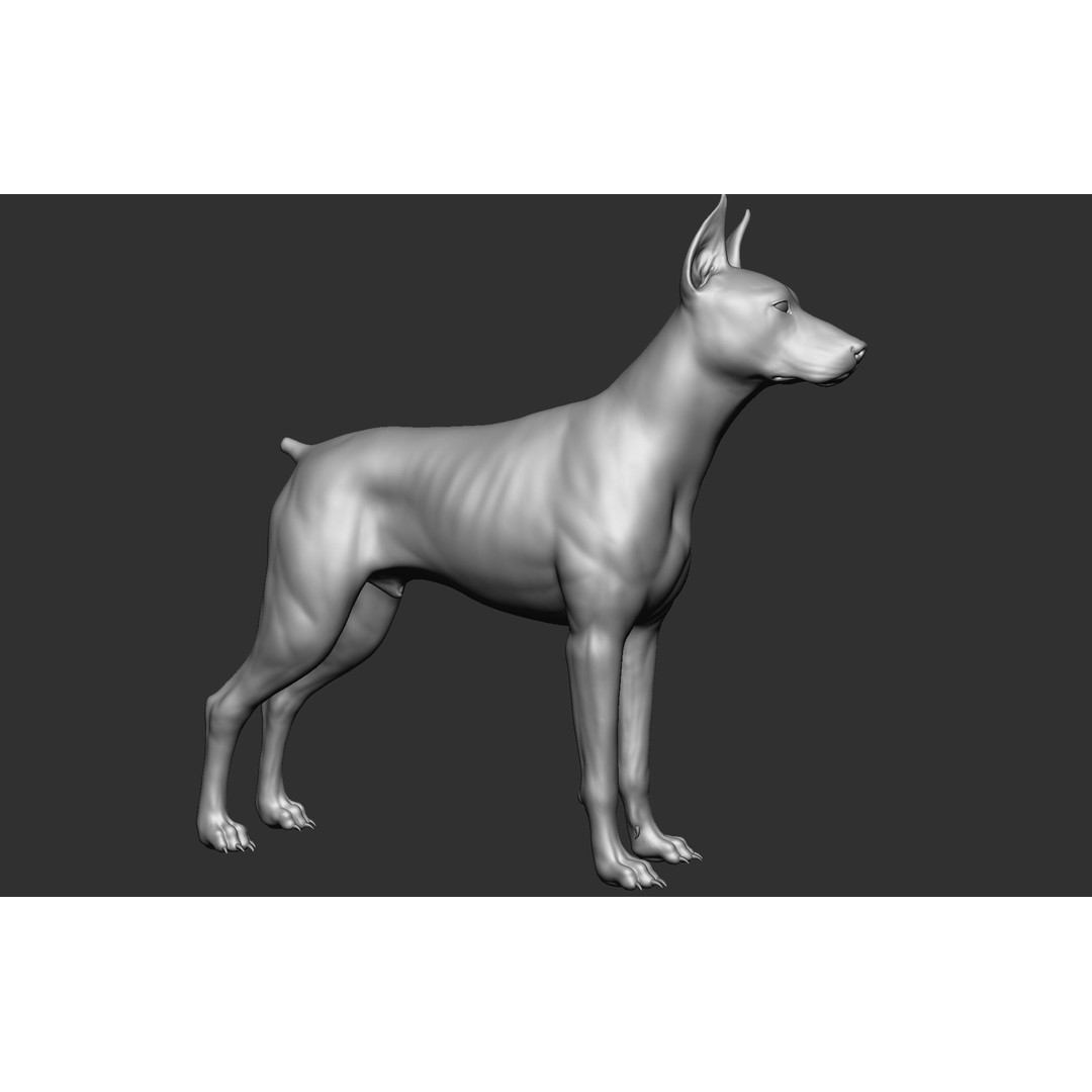 Dog Breed Collection 3D Model – Realistic Animal Pack, OBJ & ZTL - View 79
