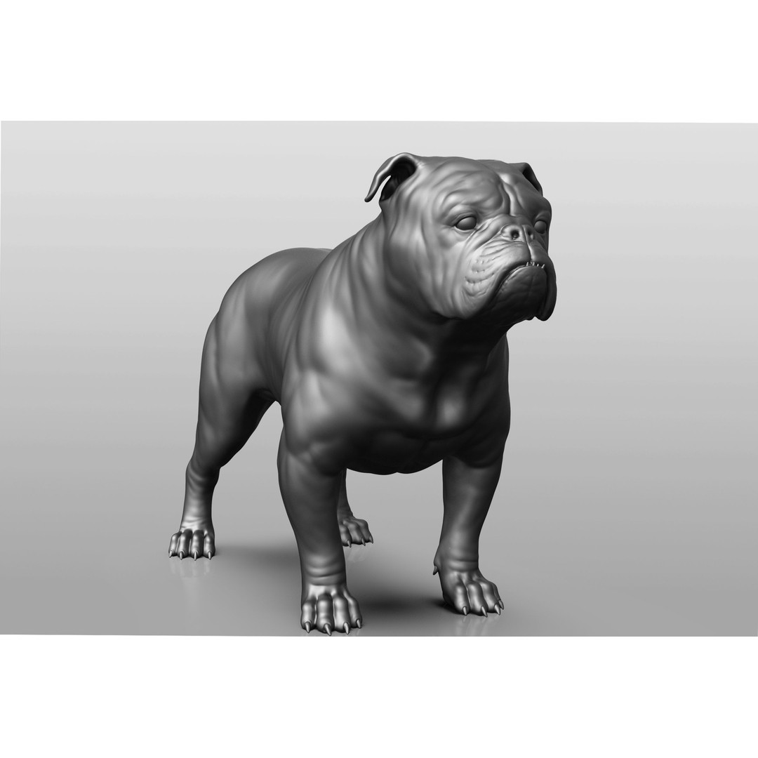 Dog Breed Collection 3D Model – Realistic Animal Pack, OBJ & ZTL - View 8