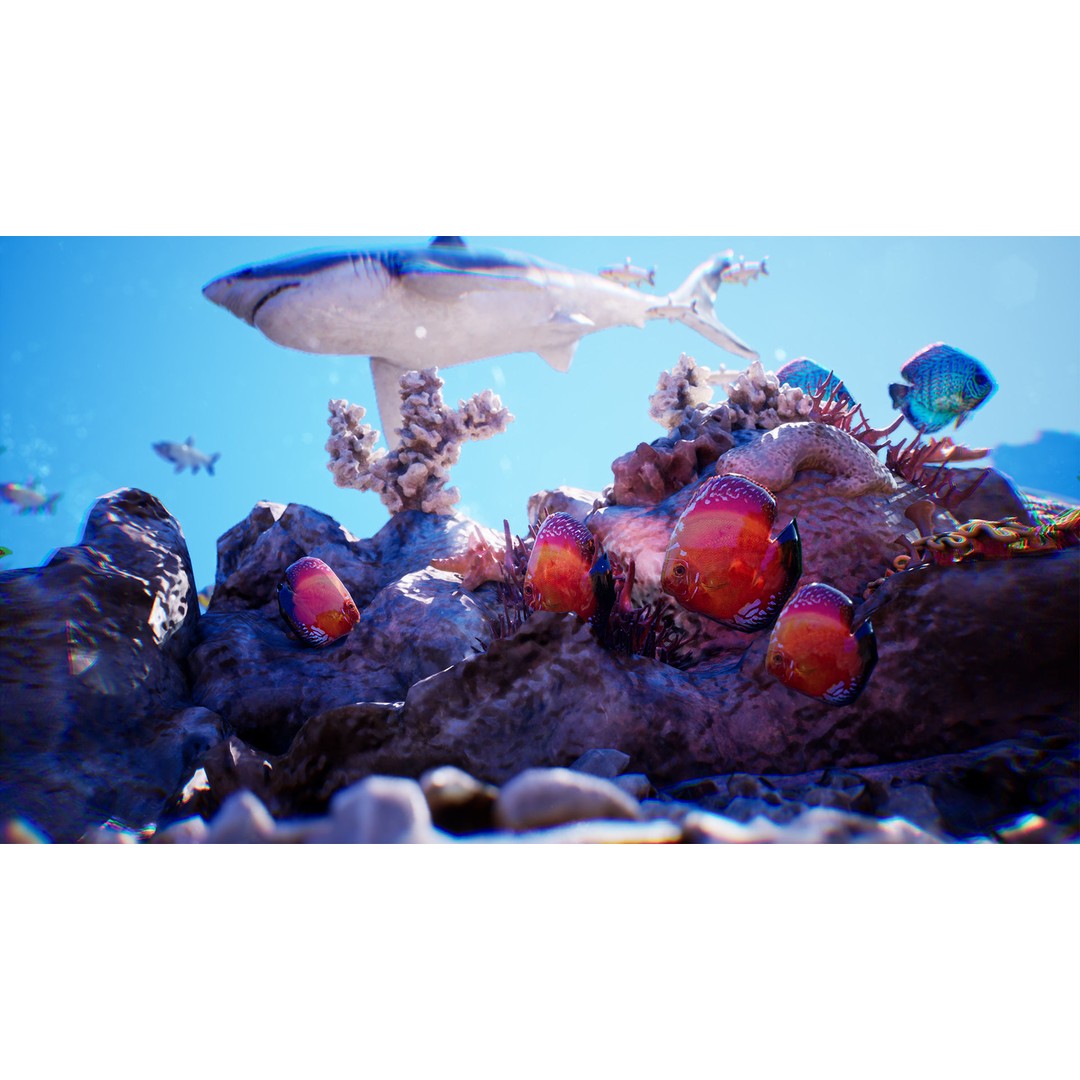Ocean Floor 3D Model – High Quality Low Poly Environment, FBX - View 10