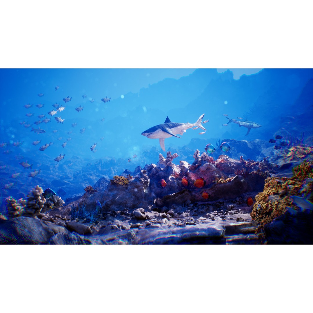 Ocean Floor 3D Model – High Quality Low Poly Environment, FBX - View 3