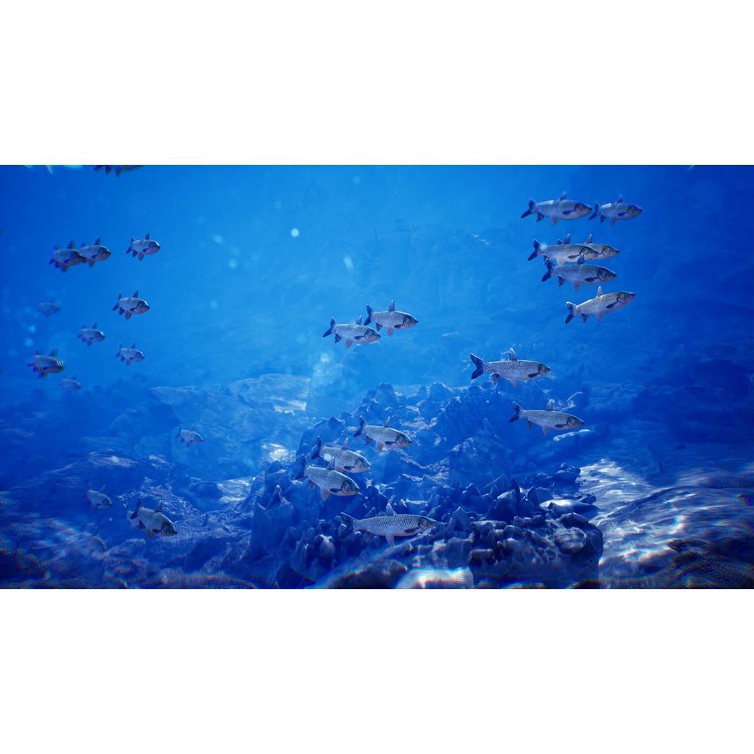 Ocean Floor 3D Model – High Quality Low Poly Environment, FBX - View 4