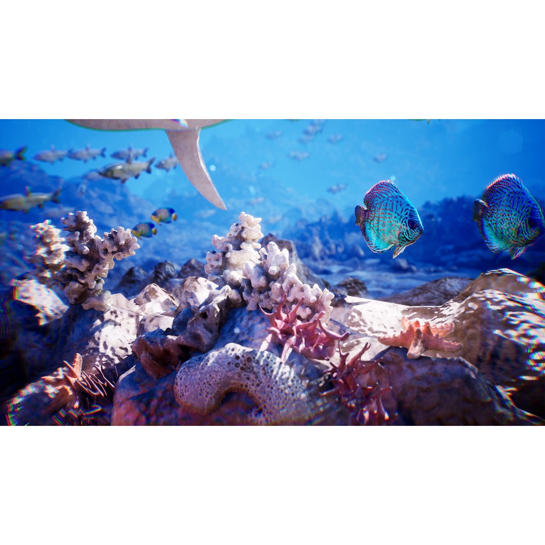 Ocean Floor 3D Model – High Quality Low Poly Environment, FBX - View 5