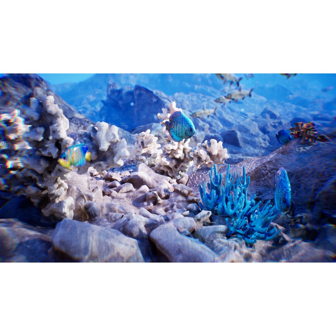 Ocean Floor 3D Model – High Quality Low Poly Environment, FBX - View 8