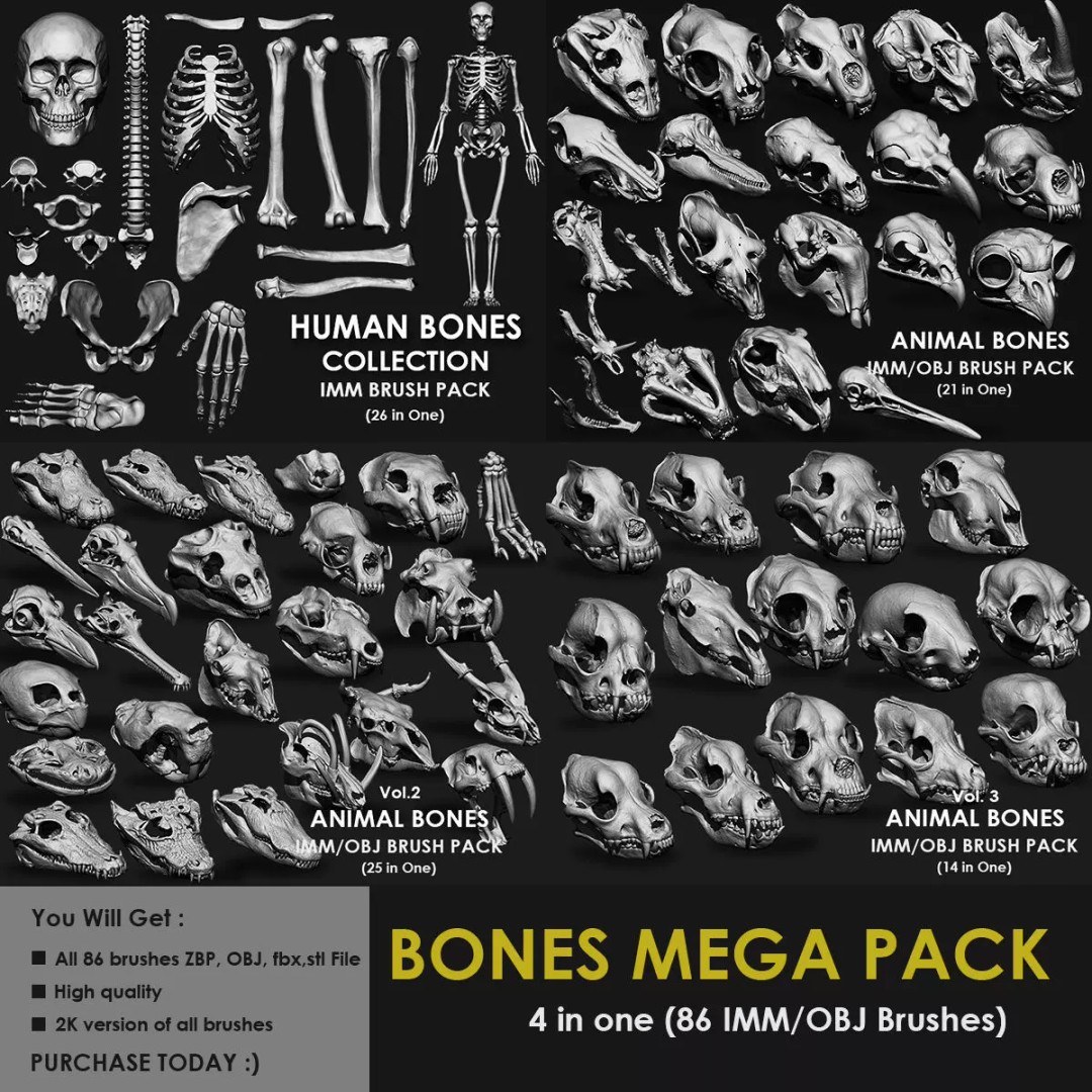 Bones 3D Model – Anatomical Brush Pack, 86 Formats Including FBX - View 2