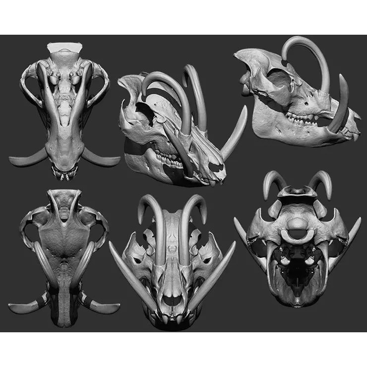 Bones 3D Model – Anatomical Brush Pack, 86 Formats Including FBX - View 44