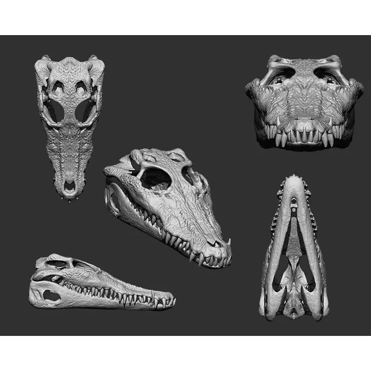 Bones 3D Model – Anatomical Brush Pack, 86 Formats Including FBX - View 48