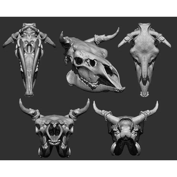Bones 3D Model – Anatomical Brush Pack, 86 Formats Including FBX - View 52