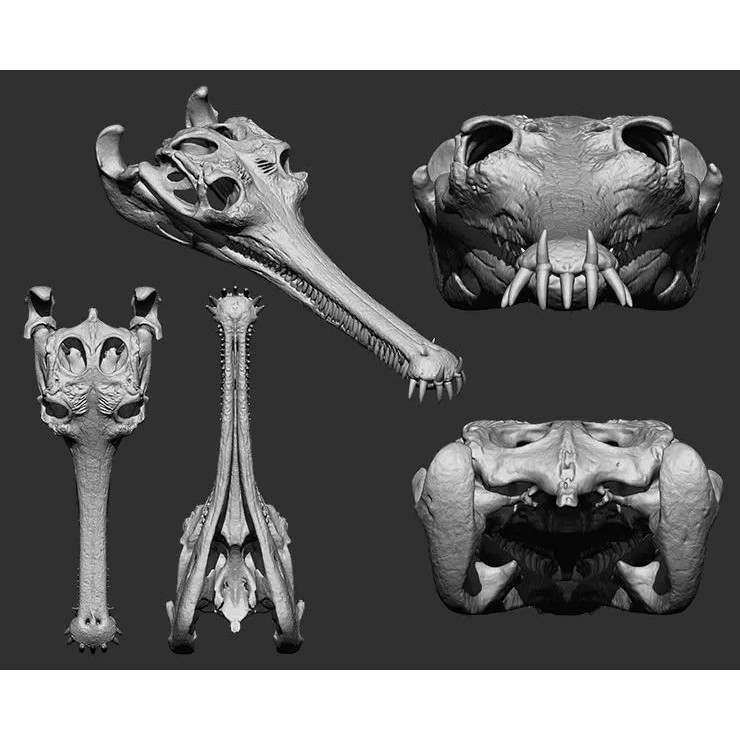 Bones 3D Model – Anatomical Brush Pack, 86 Formats Including FBX - View 53
