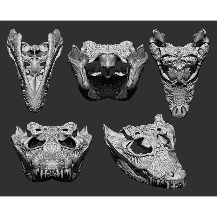 Bones 3D Model – Anatomical Brush Pack, 86 Formats Including FBX - View 61