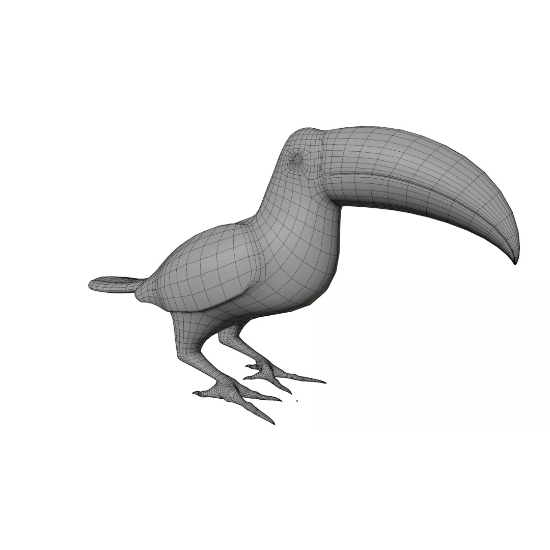 Toucan 3D Model – High Quality PBR Textured Game Asset, FBX, OBJ - View 16