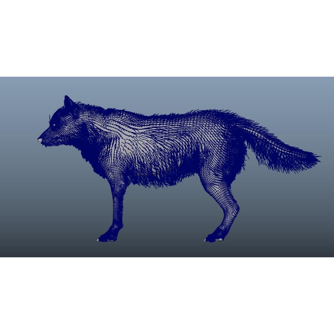 Gray Wolf 3D Model – Detailed Rigged Animal Asset, FBX, OBJ - View 10