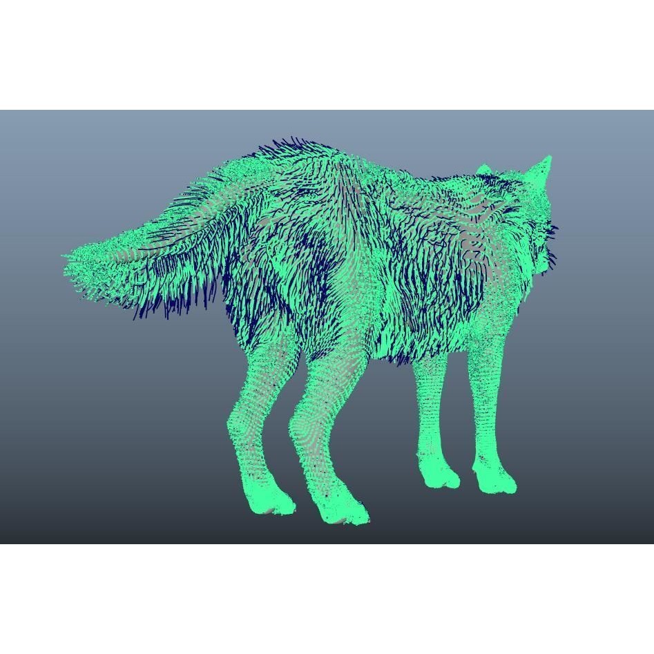 Gray Wolf 3D Model – Detailed Rigged Animal Asset, FBX, OBJ - View 11