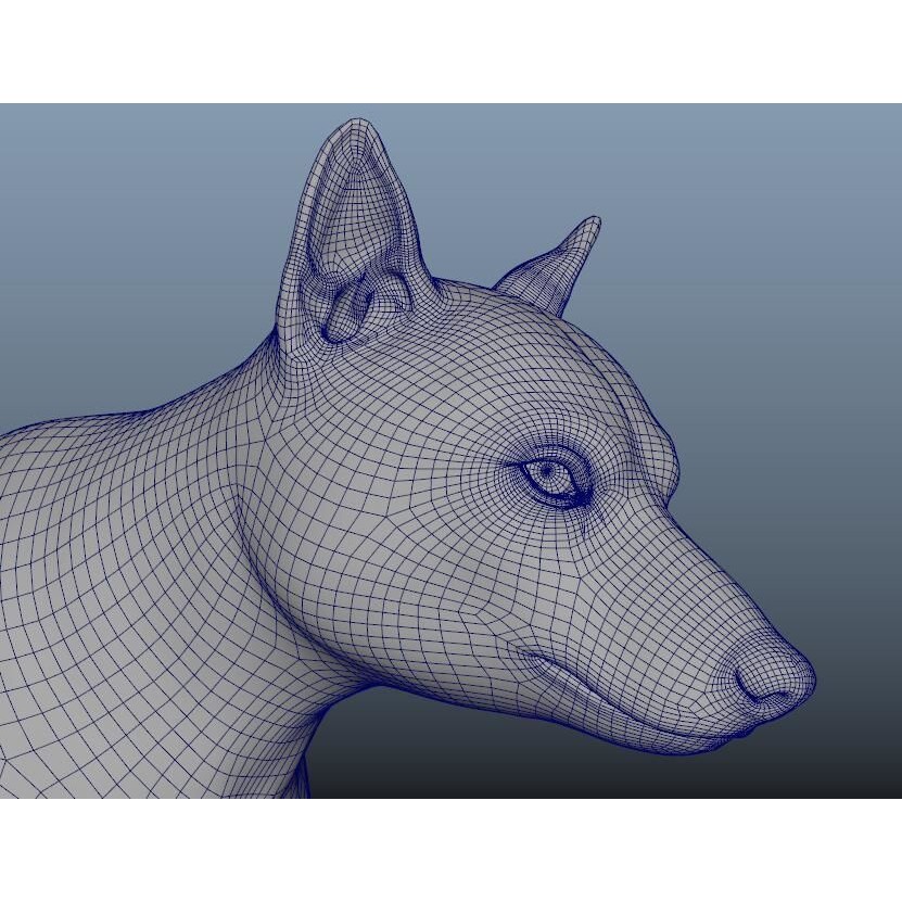 Gray Wolf 3D Model – Detailed Rigged Animal Asset, FBX, OBJ - View 12