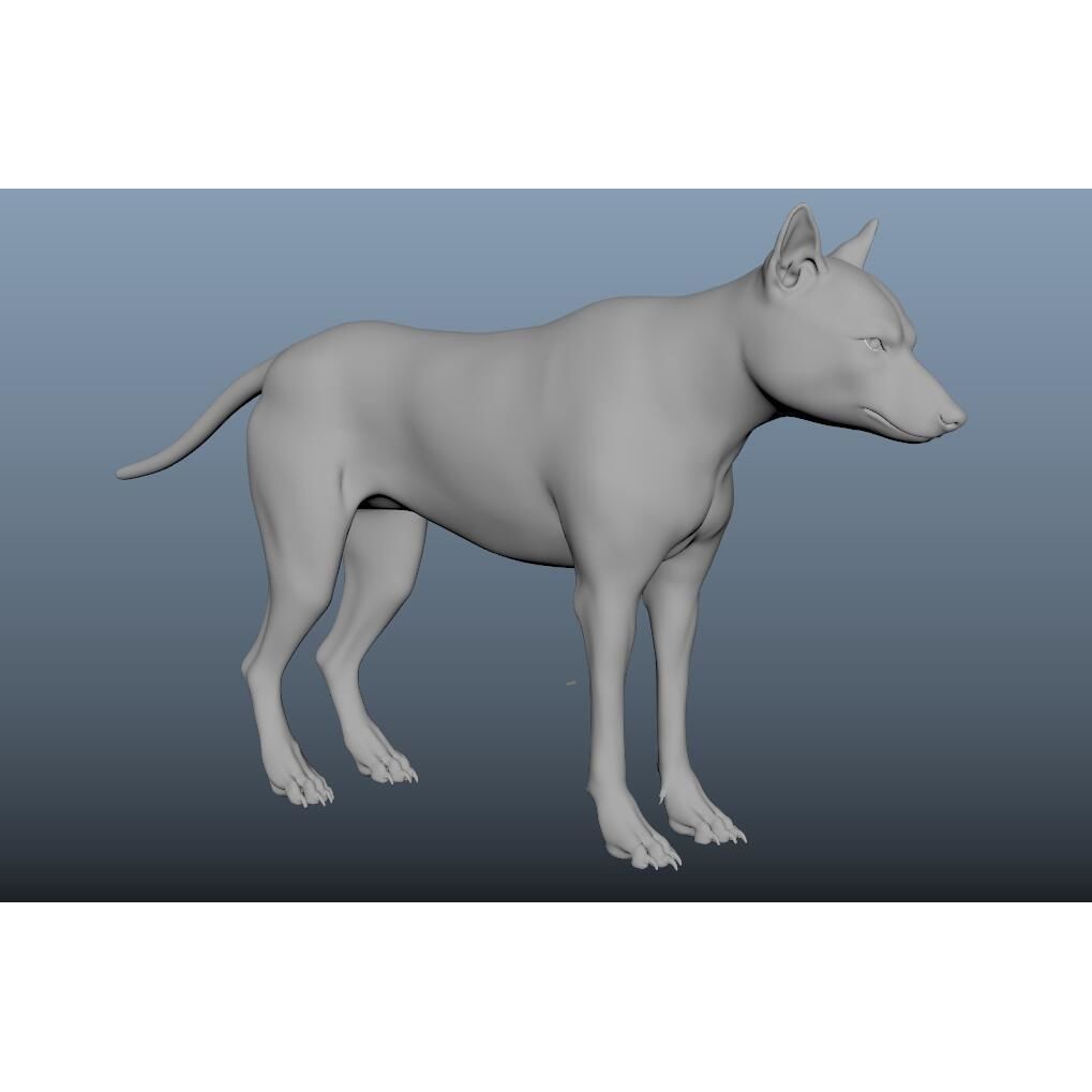 Gray Wolf 3D Model – Detailed Rigged Animal Asset, FBX, OBJ - View 14