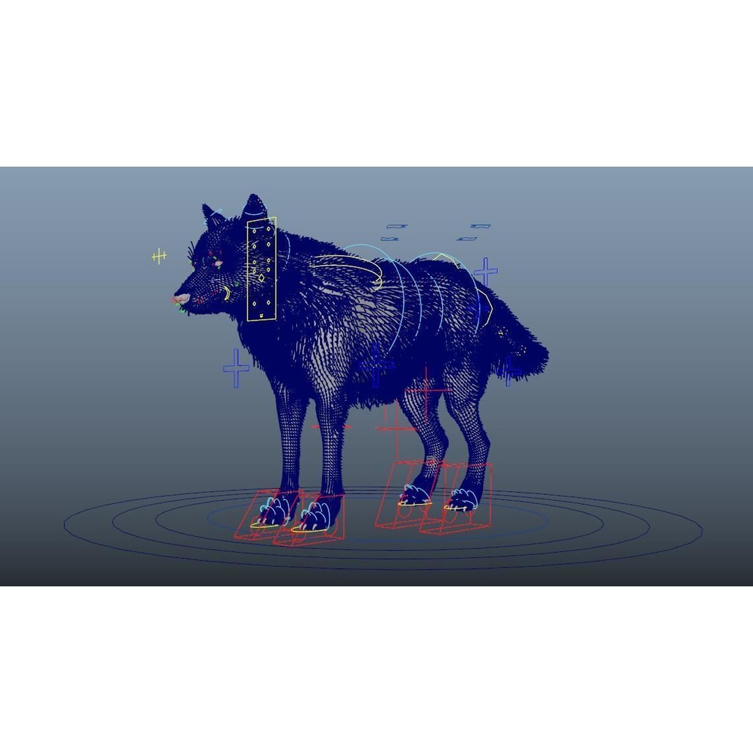 Gray Wolf 3D Model – Detailed Rigged Animal Asset, FBX, OBJ - View 7