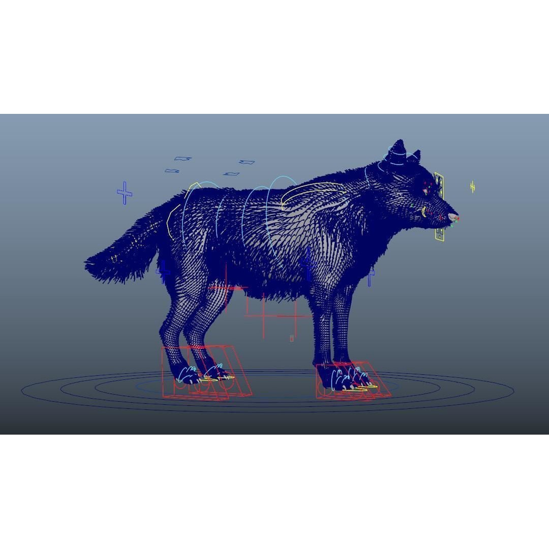 Gray Wolf 3D Model – Detailed Rigged Animal Asset, FBX, OBJ - View 8