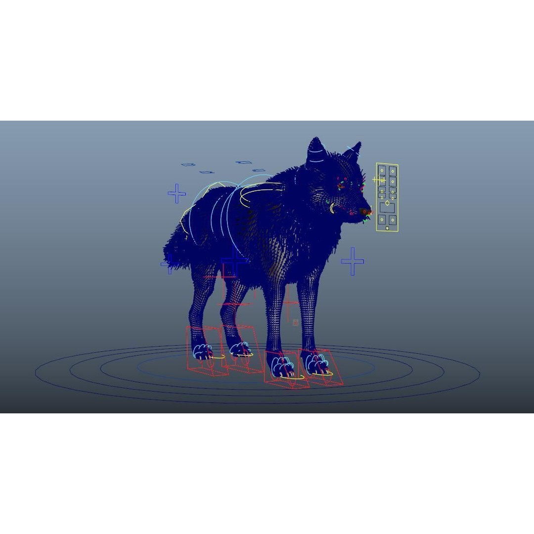 Gray Wolf 3D Model – Detailed Rigged Animal Asset, FBX, OBJ - View 9