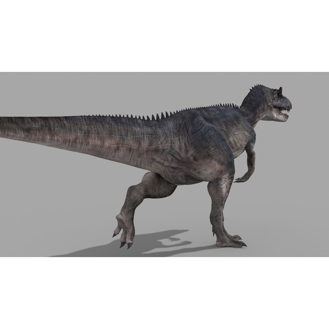 Real Animated Allosaurus 3D Model – High Poly Rigged Asset, FBX, OBJ - View 12