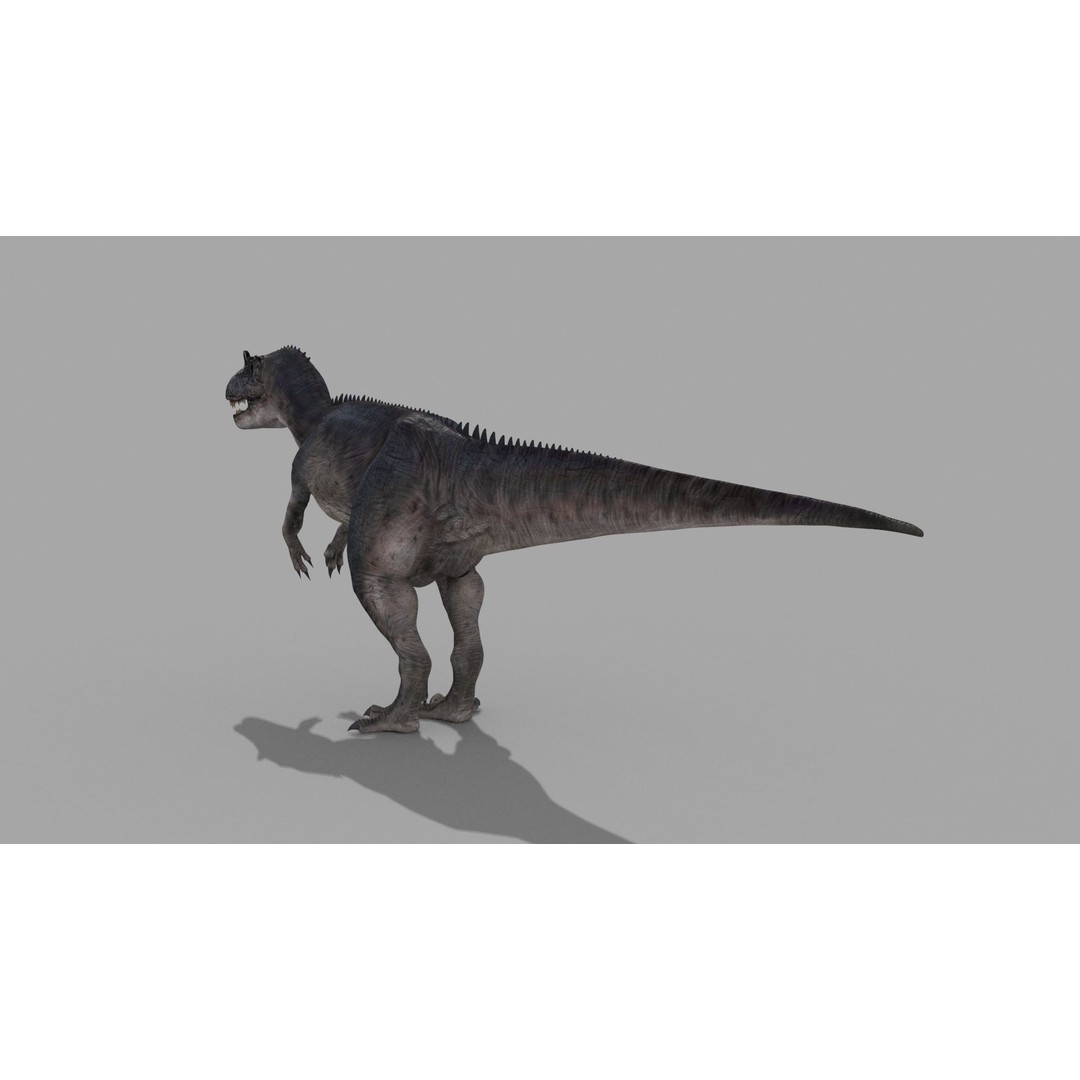 Real Animated Allosaurus 3D Model – High Poly Rigged Asset, FBX, OBJ - View 9