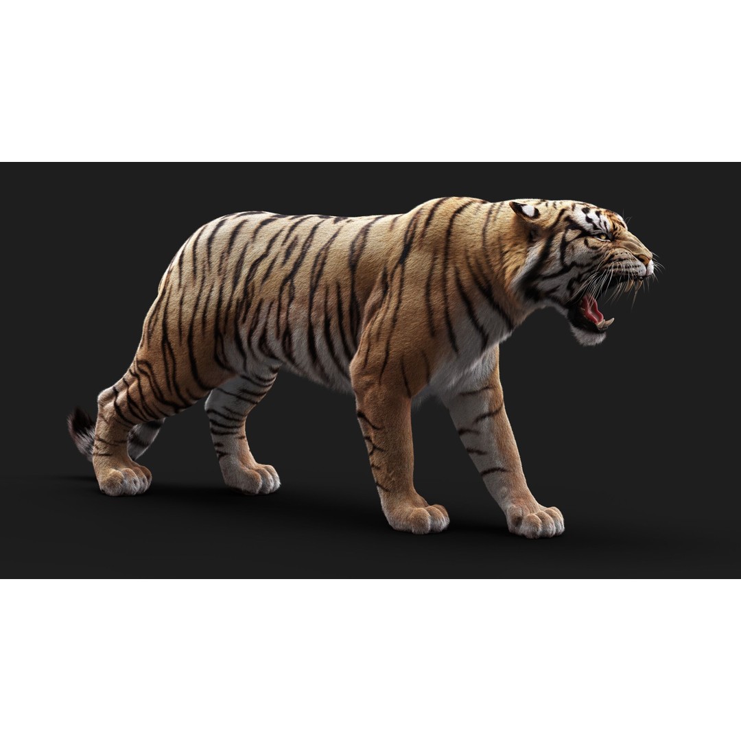 Bengal Tiger 3D Model – High Poly Rigged Character with YETI Grooming - View 10