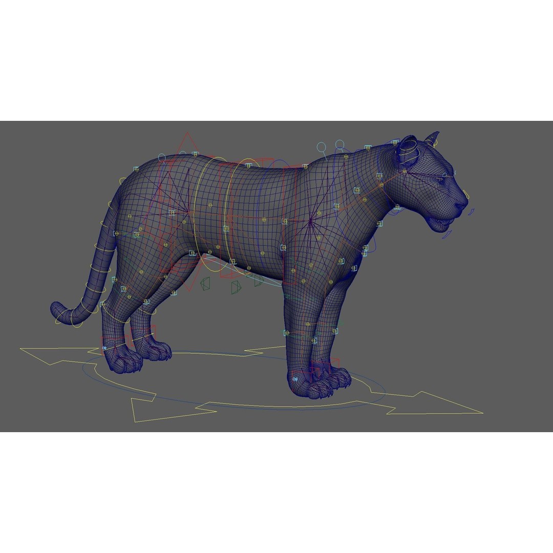 Bengal Tiger 3D Model – High Poly Rigged Character with YETI Grooming - View 13