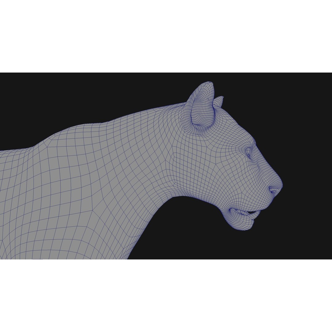 Bengal Tiger 3D Model – High Poly Rigged Character with YETI Grooming - View 19