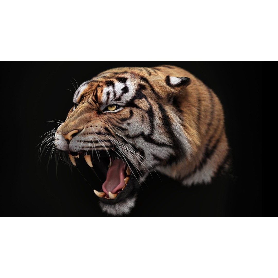 Bengal Tiger 3D Model – High Poly Rigged Character with YETI Grooming - View 7