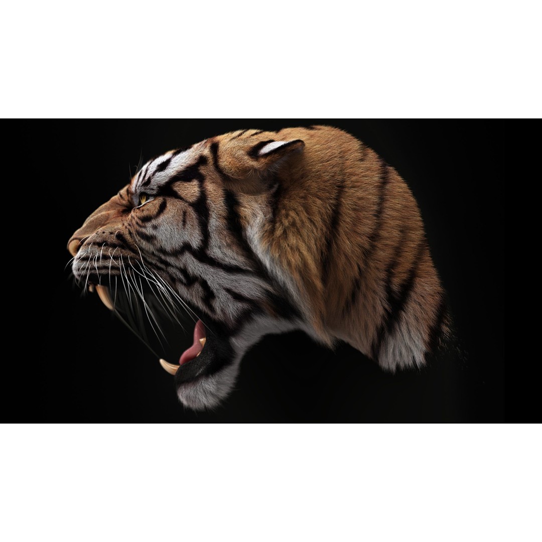 Bengal Tiger 3D Model – High Poly Rigged Character with YETI Grooming - View 8