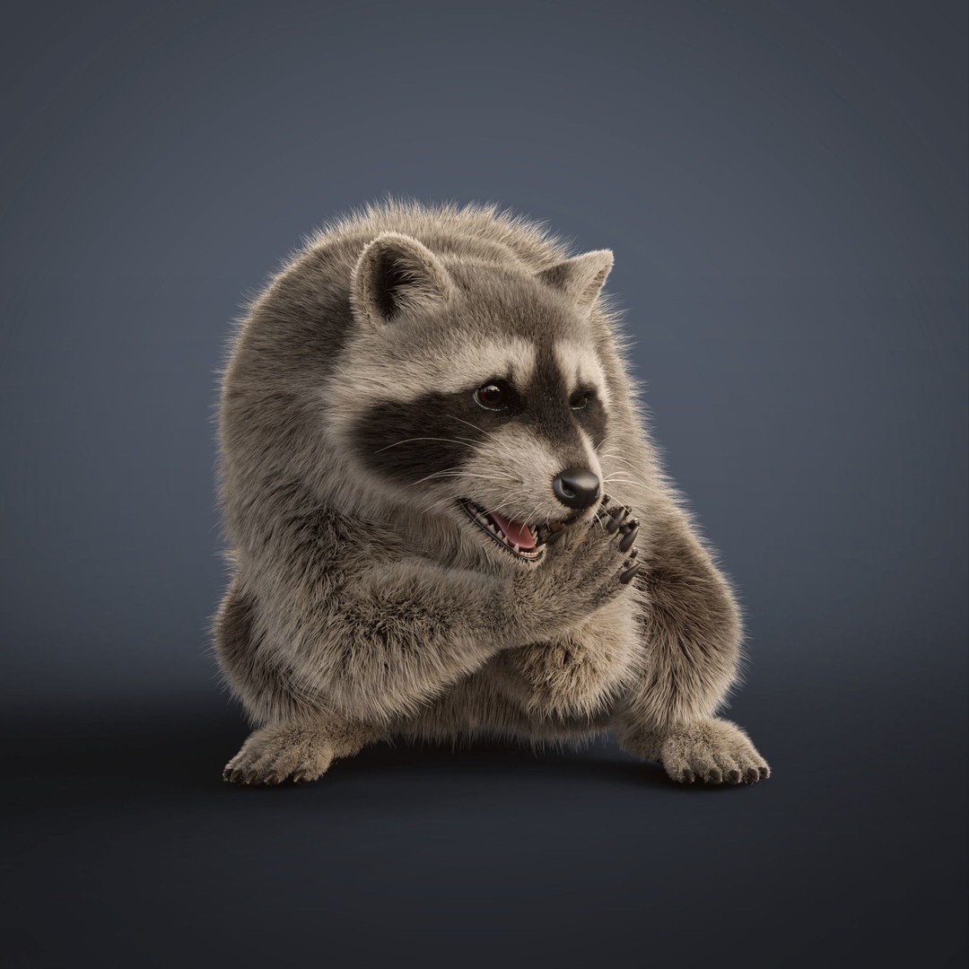 Raccoon 3D Model – Realistic Rigged Animation with PBR Textures - View 15